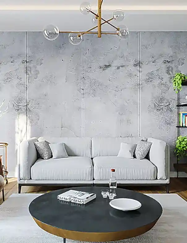 Living Room Designs