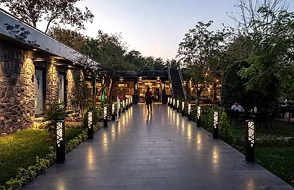restaurant tasarımları