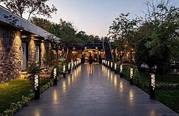 restaurant tasarımları